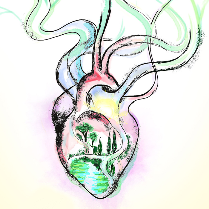 heart 63